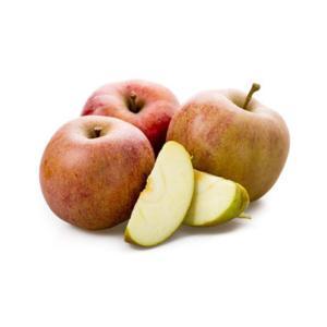 NO NAME CASINO-485520