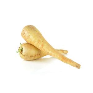 NO NAME CASINO-510756