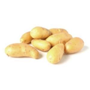 NO NAME CASINO-519619