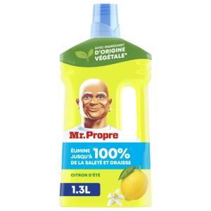 Mr Propre-522974