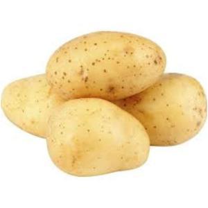 MARQUE NATIONALE BIO-525032