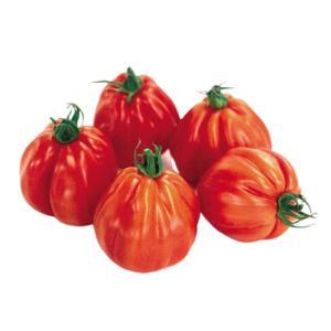 NO NAME CASINO-555253