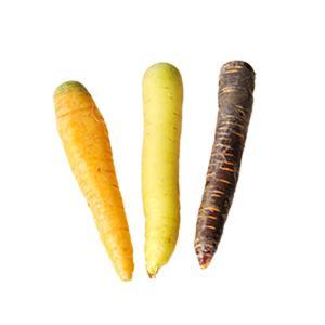 NO NAME CASINO-569894