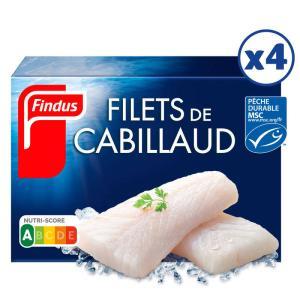 Findus-672687