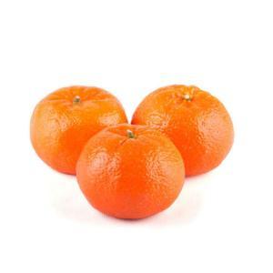 NO NAME CASINO-702574