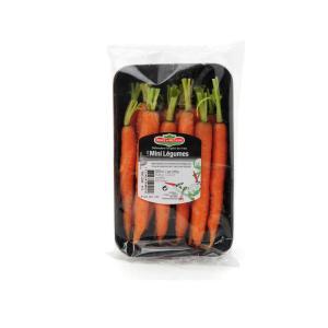 Prince de Bretagne-794558