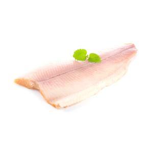 NO NAME CASINO-799173