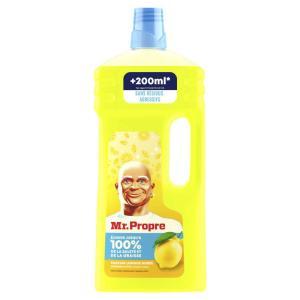 Mr. Propre-802257