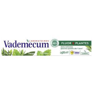 VADEMECUM-818578