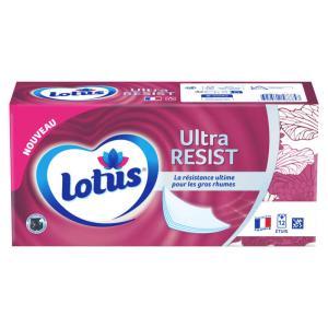 Lotus-830274