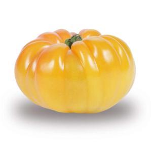 NO NAME CASINO-832678