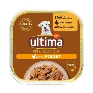 Ultima-841026