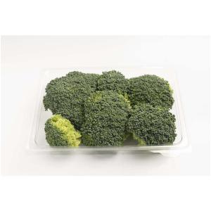 FRESH AND GOOD-912942