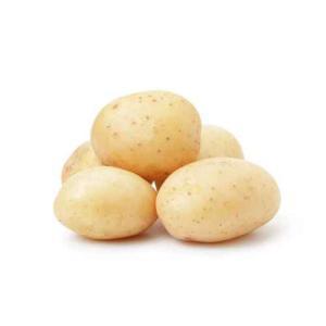 NO NAME CASINO-921784