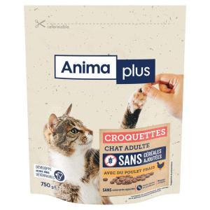 Casino Animaplus-952538