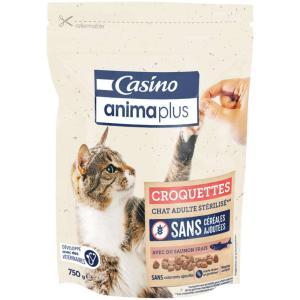 Casino Animaplus-952540