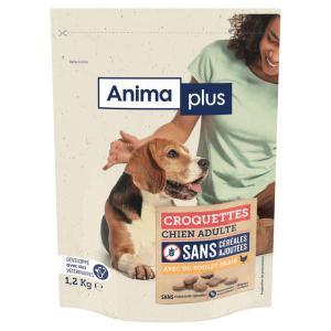 Casino Animaplus-952551