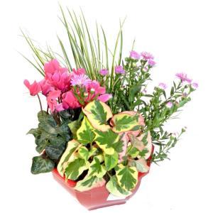 SICA KERISNEL-973209