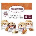 HAAGEN DAZS-116682