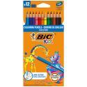 Bic-190889