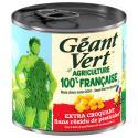 GEANT VERT-223485