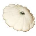 MARQUE NATIONALE BIO-382184