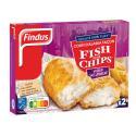 FINDUS-401062