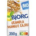 BJORG-426880