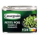 Cassegrain-445018