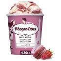 HAAGEN DAZS-505219