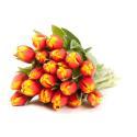 BIGOT FLEURS-511423