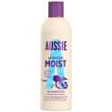 AUSSIE-522852