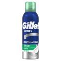 Gillette-530355