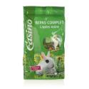 CASINO-589251