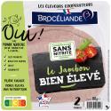 BROCELIANDE-590075
