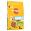 PEDIGREE-645608