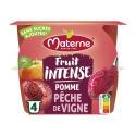 MATERNE-660055