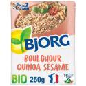 Bjorg-691656