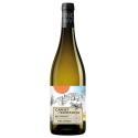 Cellier des Dauphins-725005