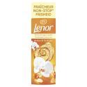 Lenor-781523