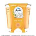 Glade-781575