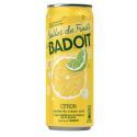 Badoit-812102