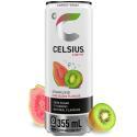 CELSIUS-831243