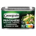 Cassegrain-831439