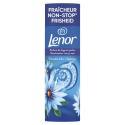 Lenor-831860