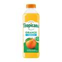 TROPICANA-831905