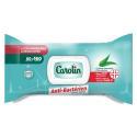Carolin-833600