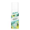 Batiste-833846