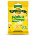 LEERDAMMER-836700