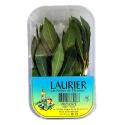 LES HERBES DU PERUSSIER-838722